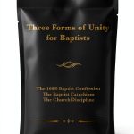 Amazon Kindle eBook Baptist Christianity 166 Pages Enhanced-0