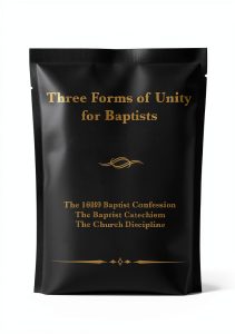 Amazon Kindle eBook Baptist Christianity 166 Pages Enhanced-0