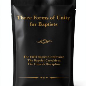Amazon Kindle eBook Baptist Christianity 166 Pages Enhanced-0