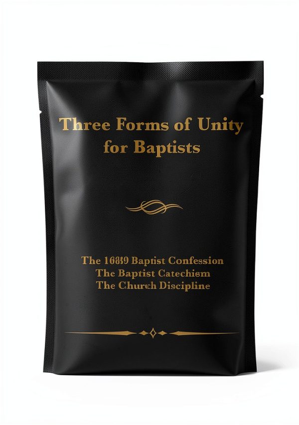 Amazon Kindle eBook Baptist Christianity 166 Pages Enhanced-0