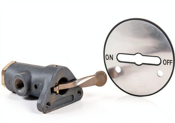 Buyers Products 6451000 Universal 3-Way Toggle Valve,174 PSI,1/8in NPT Ports, Dump Application Accessories, Hoist Application Accessories-1